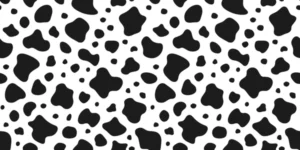 cow print